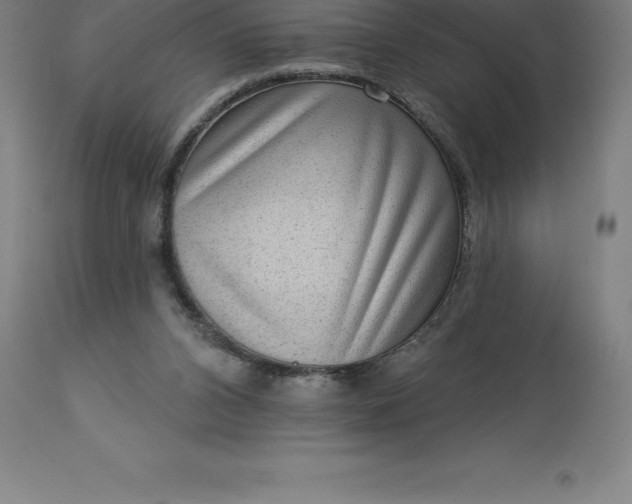 X0000113630112200910021901