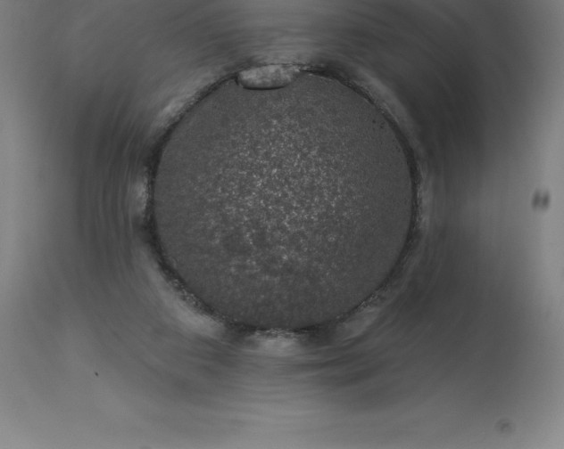 X0000113630113200910021901