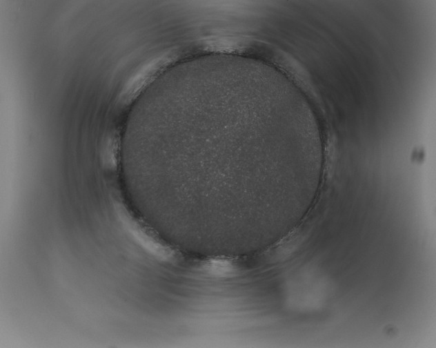 X0000113630114200910021901