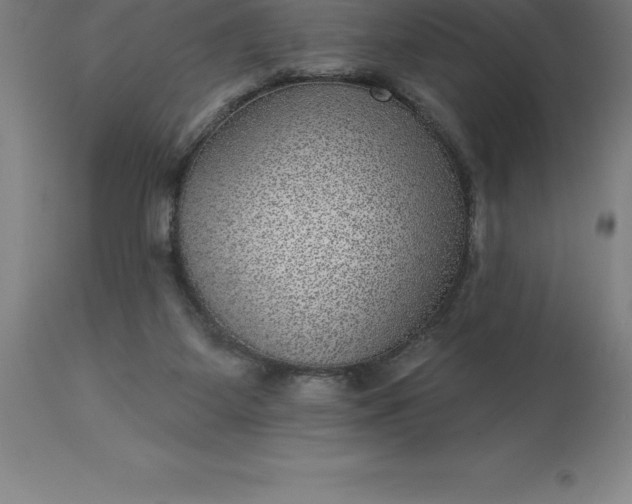 X0000113630115200910021901