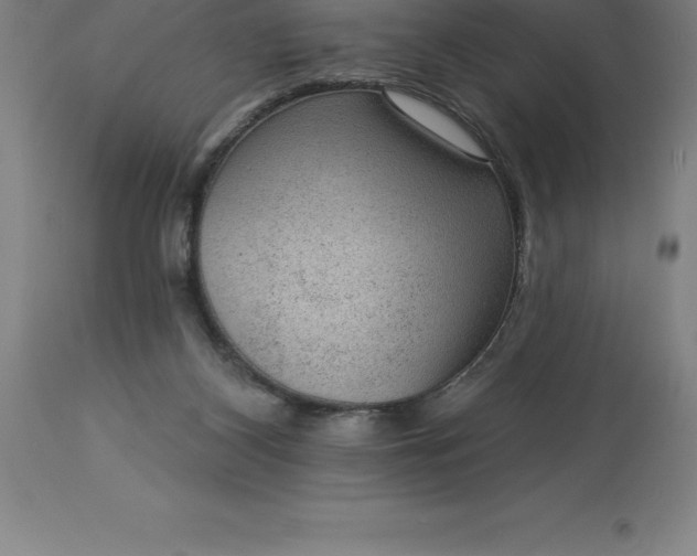 X0000113630116200910021901