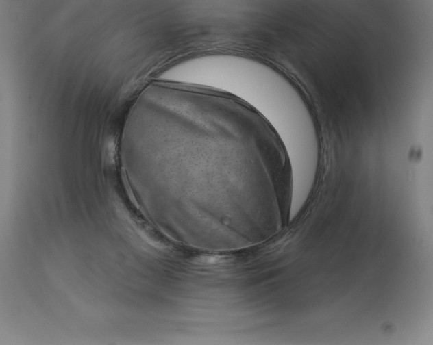 X0000113630117200910021901