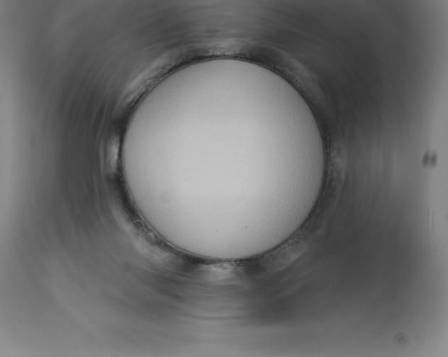 X0000113630118200910021901