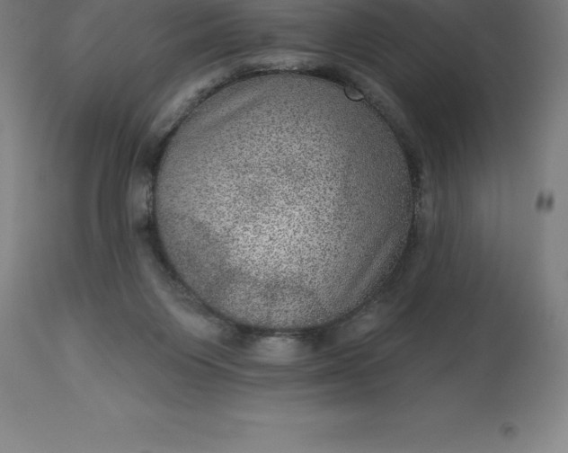 X0000113630119200910021901