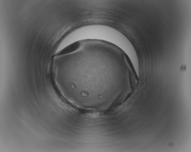 X0000113630120200910021901