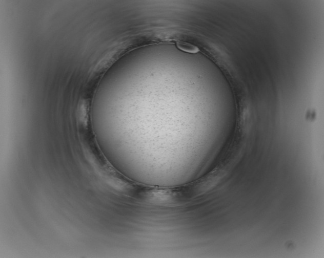 X0000113630121200910021901