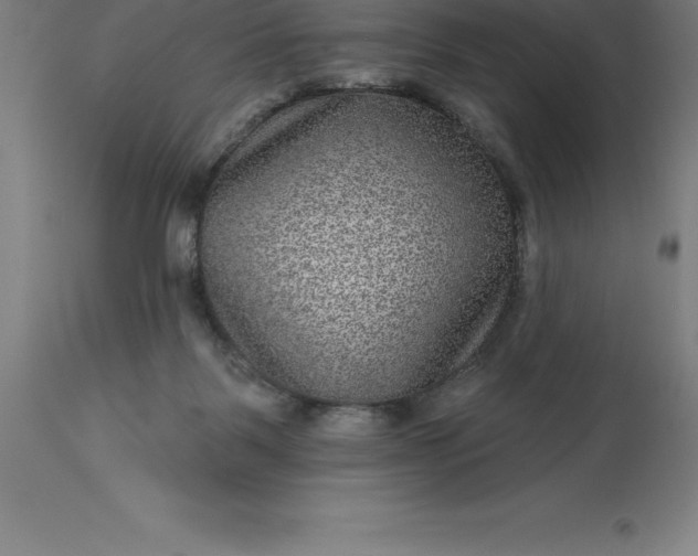 X0000113630123200910021901