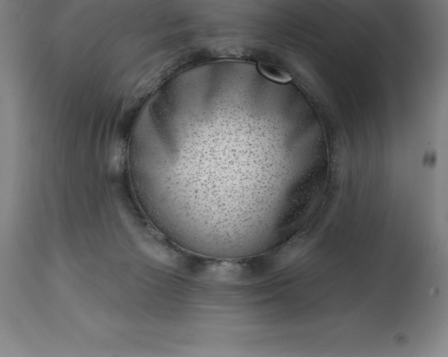 X0000113630125200910021901