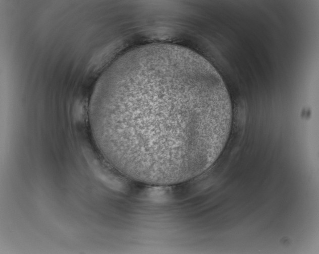 X0000113630126200910021901