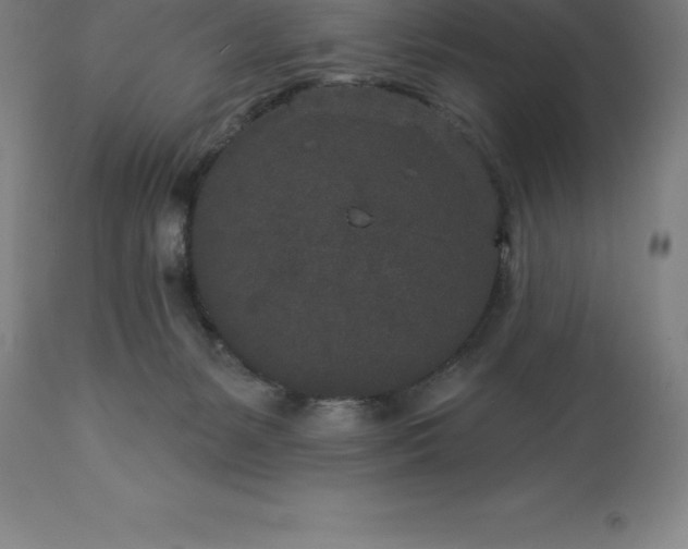 X0000113630127200910021901