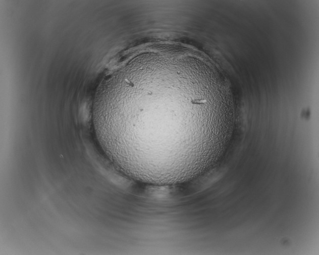X0000113630131200910021901