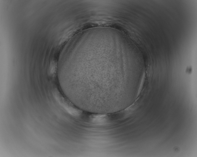 X0000113630132200910021901