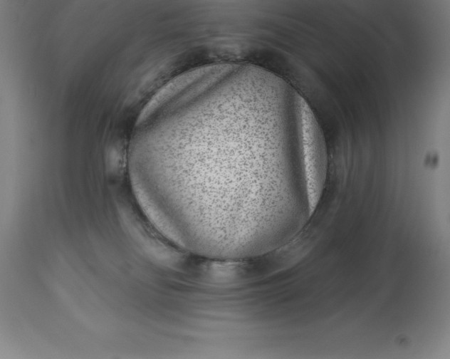 X0000113630134200910021901