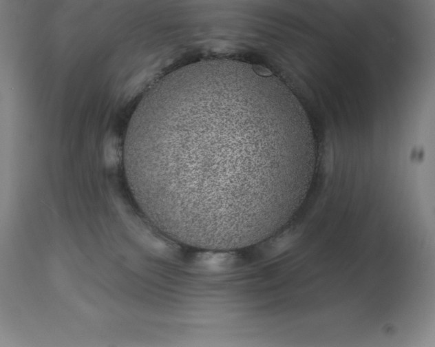 X0000113630135200910021901