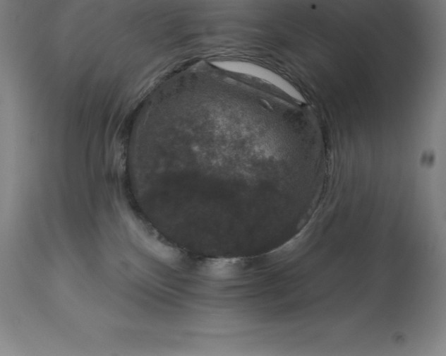 X0000113630136200910021901