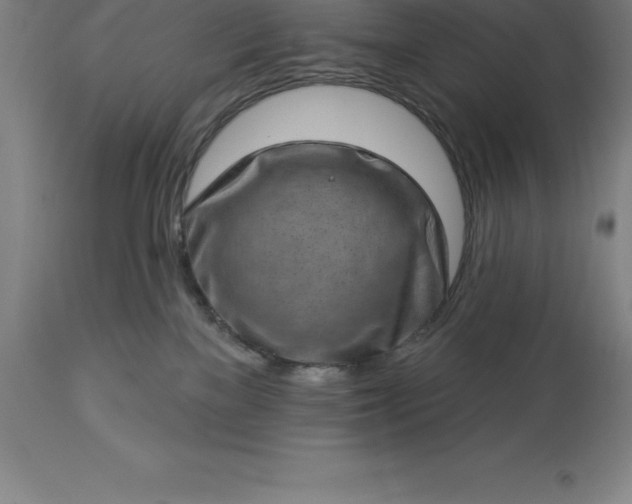 X0000113630137200910021901