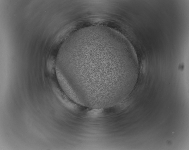 X0000113630138200910021901