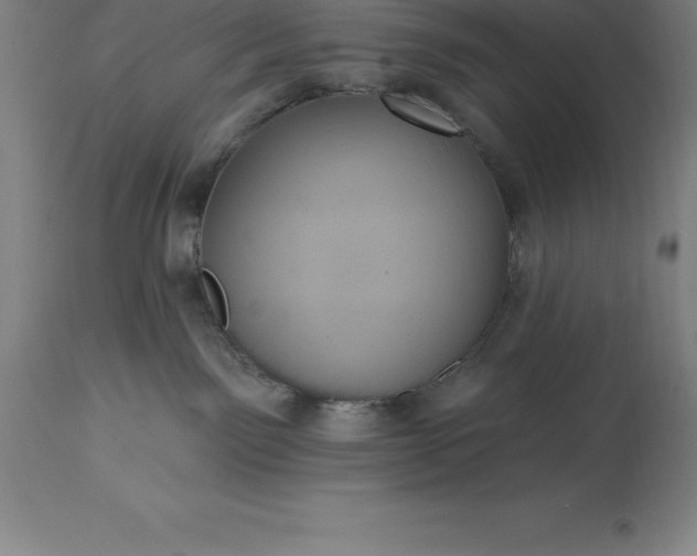 X0000113630141200910021901