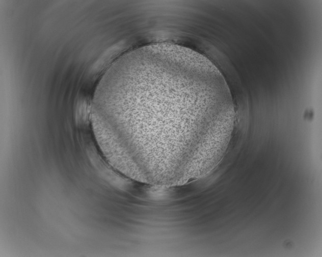X0000113630142200910021901