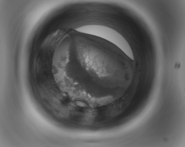 X0000113630143200910021901