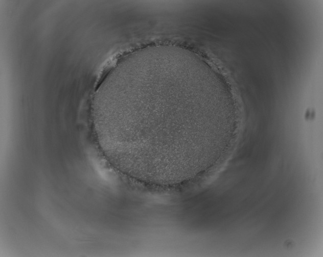X0000113630144200910021901