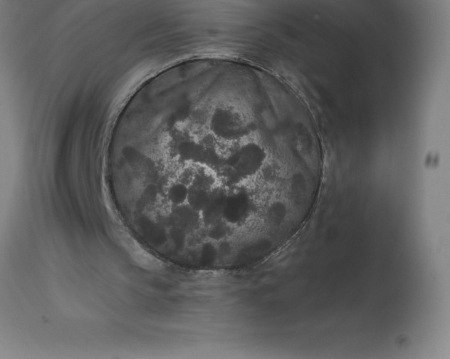 X0000113630145200910021900