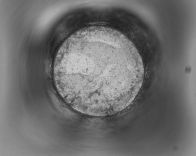 X0000113630146200910021900