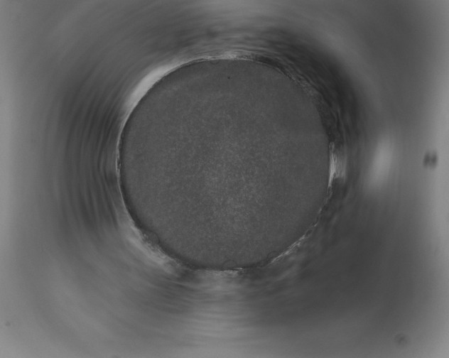X0000113630147200910021900