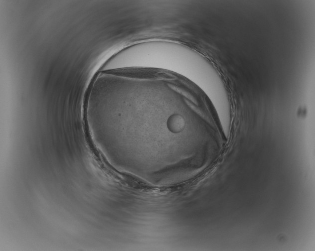 X0000113630148200910021900