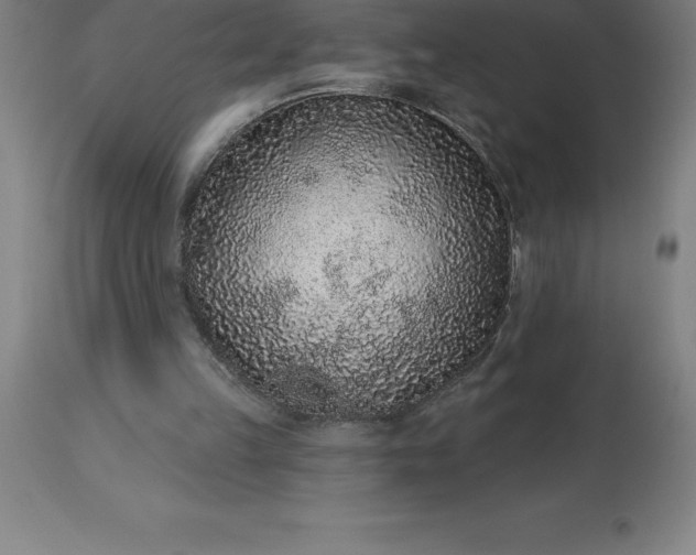 X0000113630149200910021900