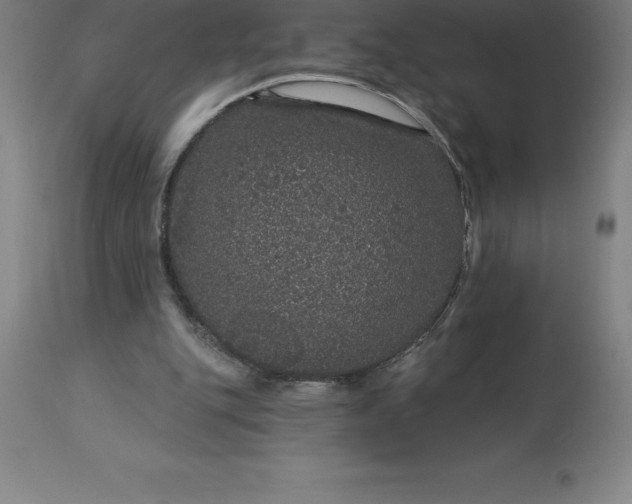 X0000113630151200910021900