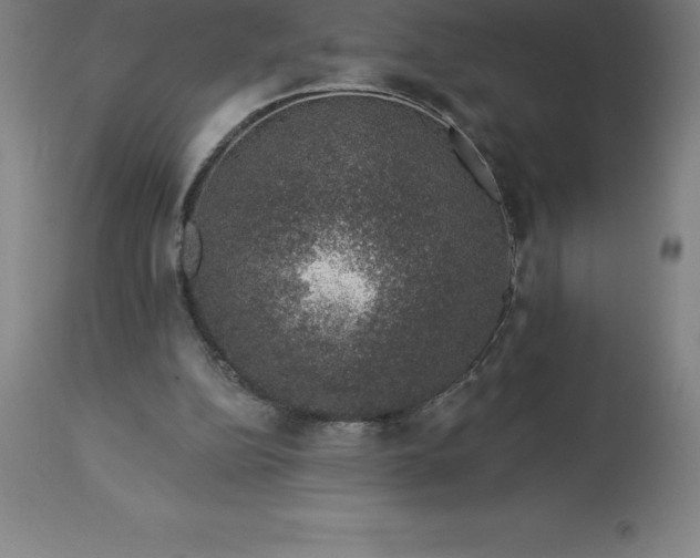 X0000113630152200910021900