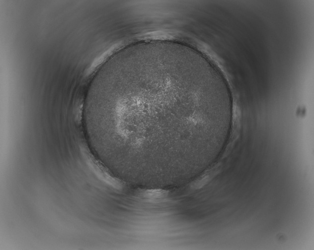 X0000113630153200910021900