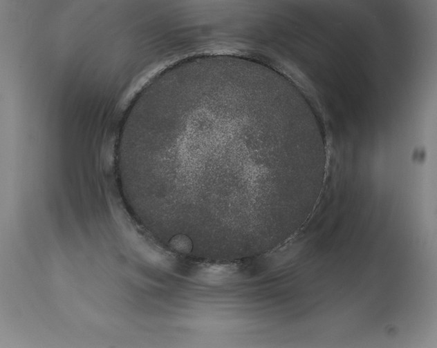 X0000113630155200910021900