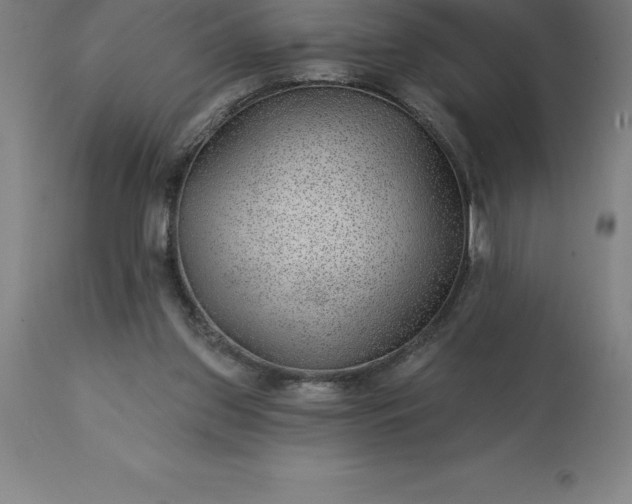 X0000113630157200910021900