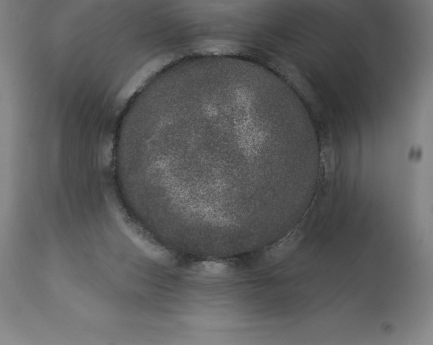 X0000113630159200910021901