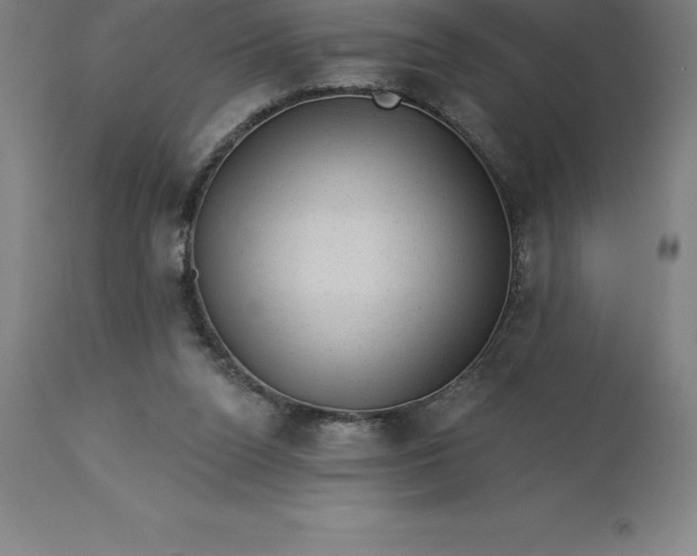 X0000113630160200910021901
