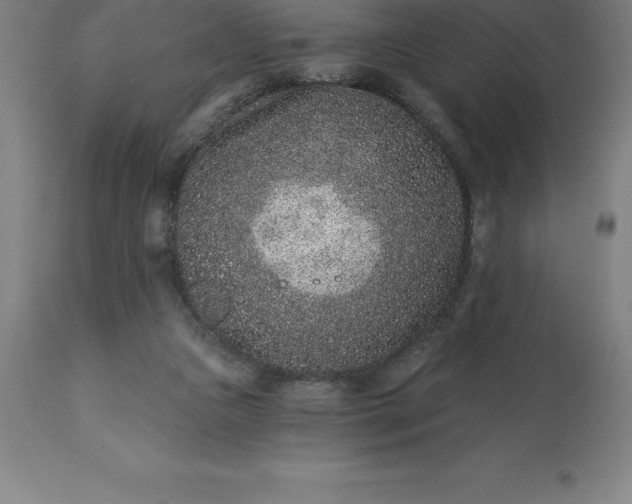 X0000113630161200910021901
