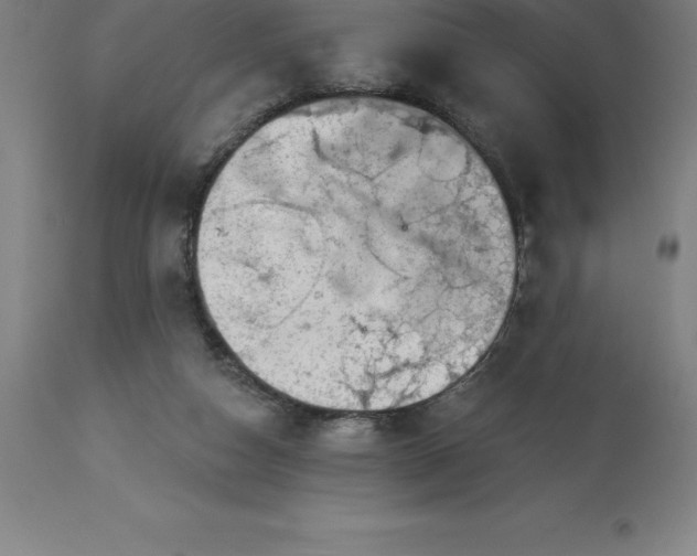 X0000113630162200910021901