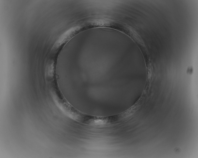X0000113630163200910021901