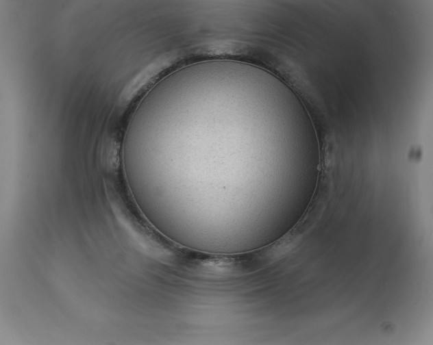 X0000113630164200910021901