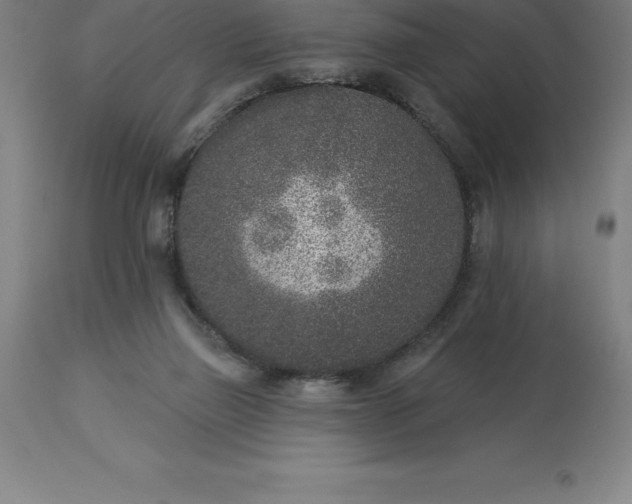 X0000113630165200910021901