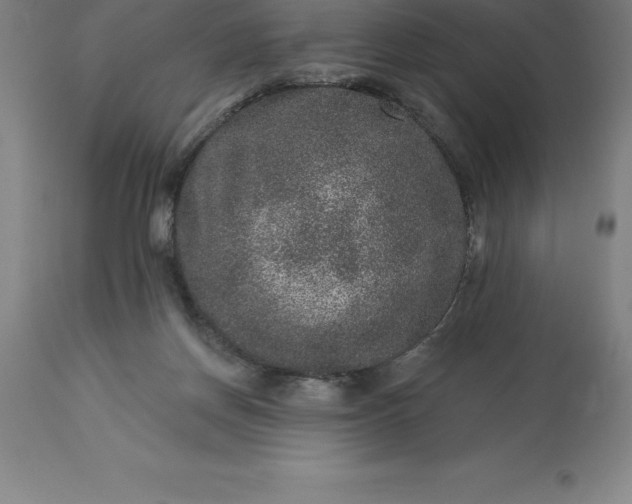 X0000113630166200910021901
