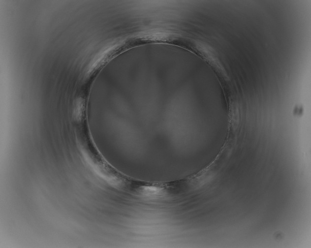 X0000113630167200910021901