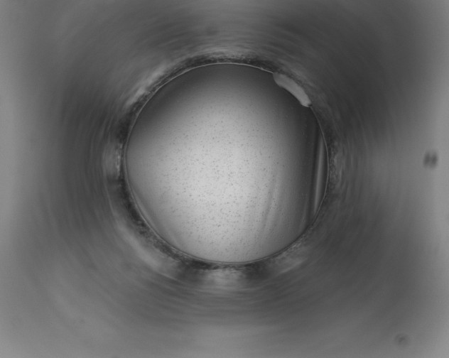 X0000113630168200910021901
