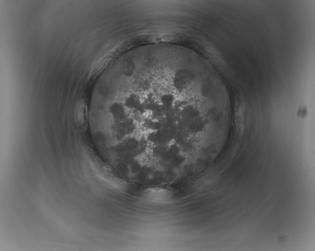 X0000113630169200910021901