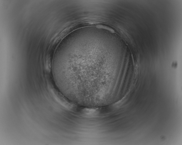 X0000113630170200910021901