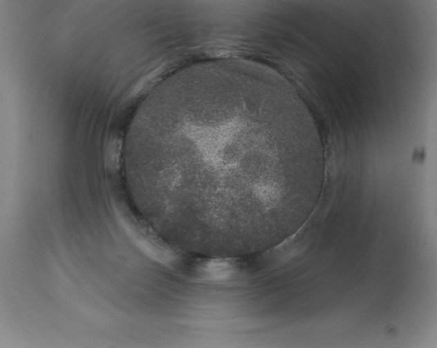 X0000113630171200910021901