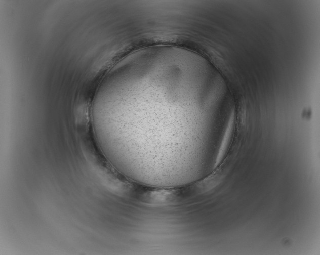 X0000113630172200910021901