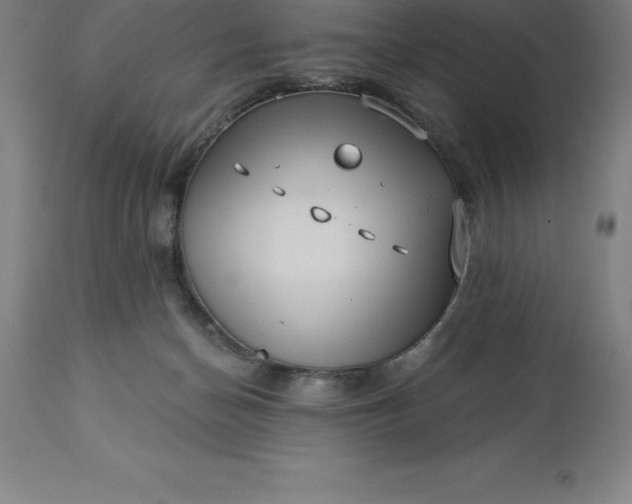 X0000113630174200910021901